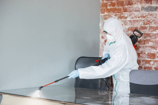 Environmental Consulting for Mold Prevention in Farmington, AR