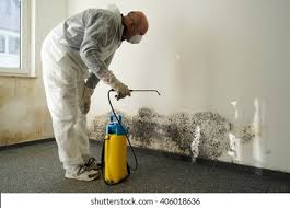  Fmington, AR Mold Removal & Remediation Pros